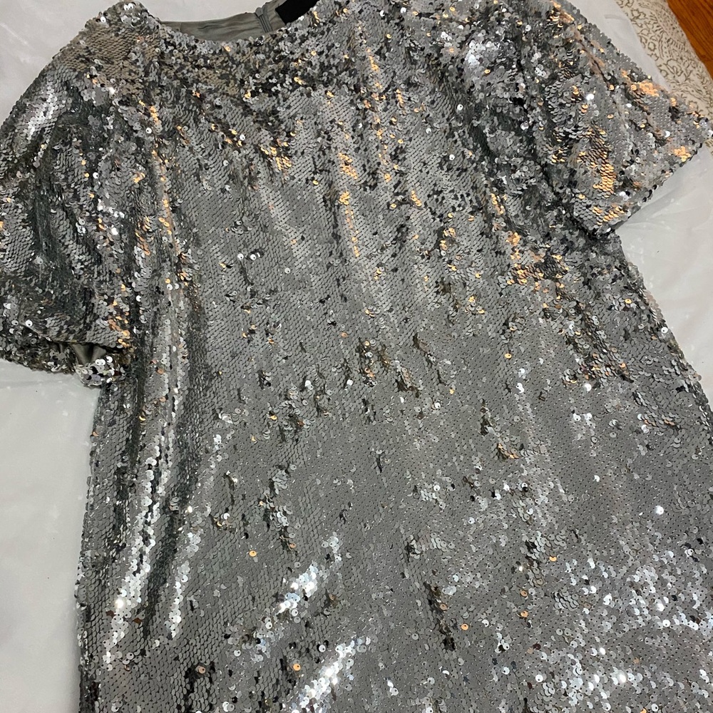 Silver sequin short sleeve mini dress